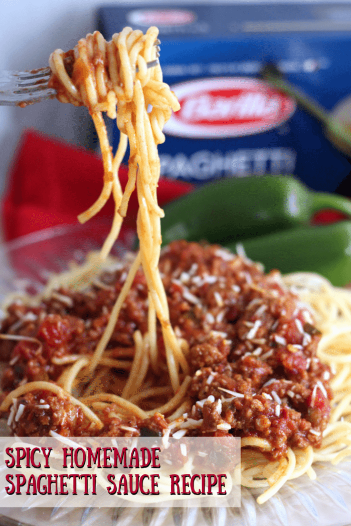 Spicy Homemade Spaghetti Sauce Recipe