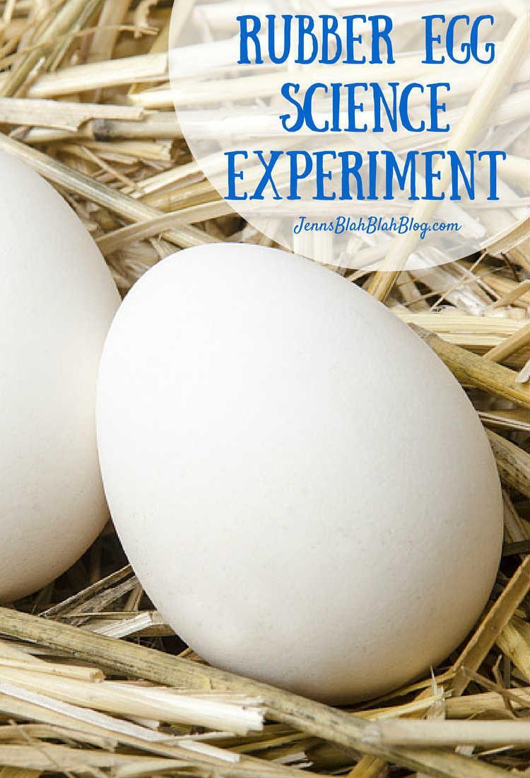 Rubber Egg Sciece Experiment Jenns Blah Blah Blog