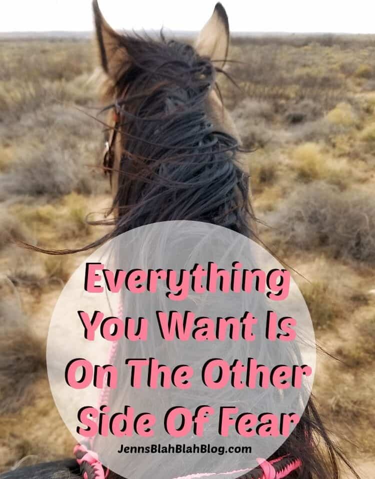  Everything You Want Is On The Other Side Of Fear