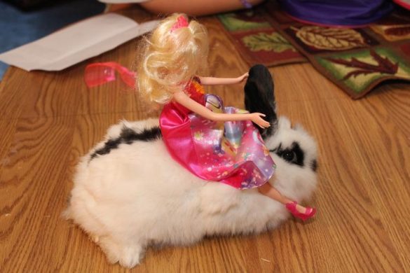 barbie riding a bunny