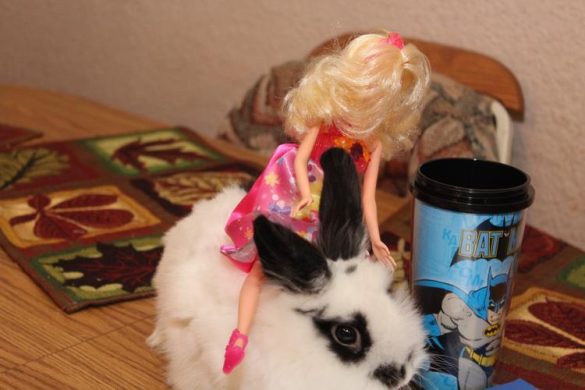 barbie riding a bunny