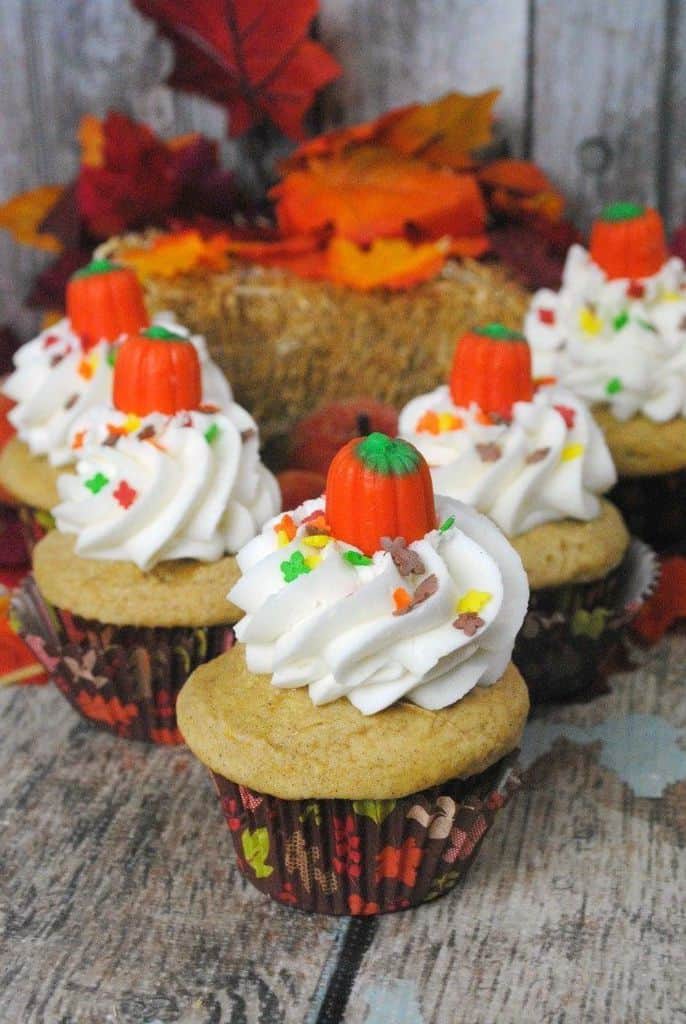 Pumpkin Vanilla Cupcakes Recipe | Jenns Blah Blah Blog