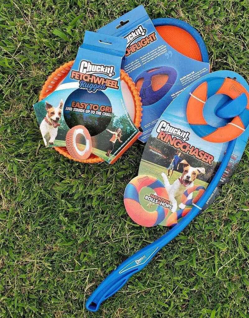 Benefits of Playtime with Your Dog & Our 3 Favorite Dog Toys